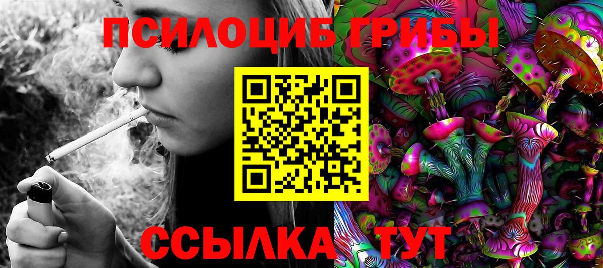 Псилоцибиновые грибы прущие грибы Отрадное